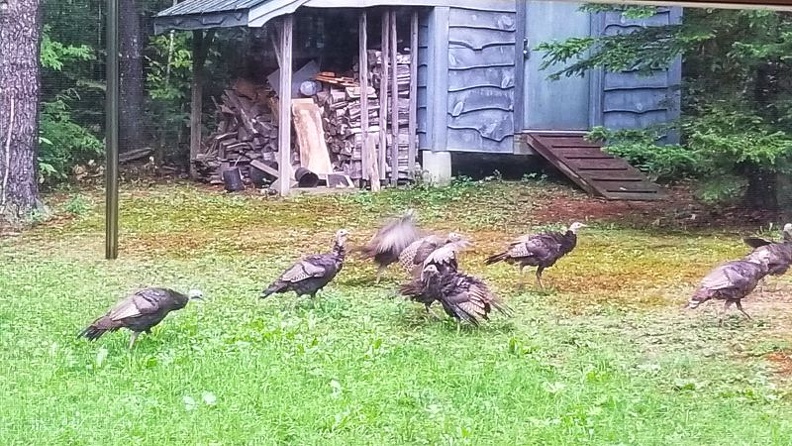 2018-9-13 turkey